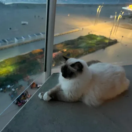 Digue De Westende, Avec Coin Nuit, Piscine, Vue Et Fantastique *