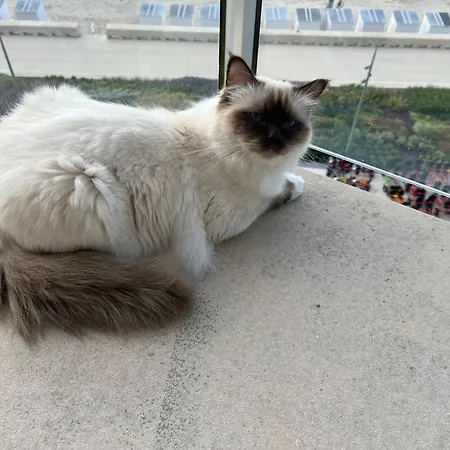 Digue De Westende, Avec Coin Nuit, Piscine, Vue Et Fantastique Middelkerke
