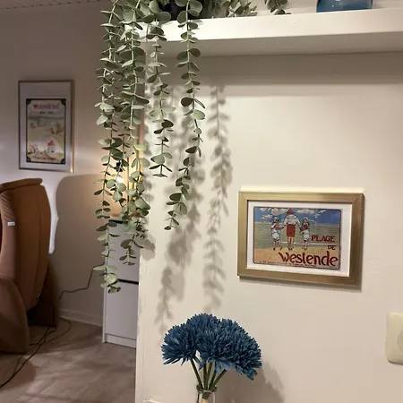 Digue De Westende, Avec Coin Nuit, Piscine, Vue Et Fantastique Daire Middelkerke